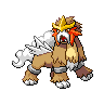 hoothoot